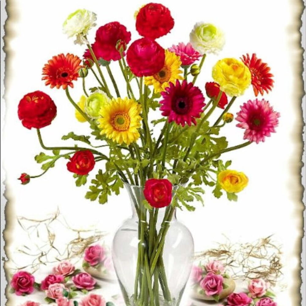 Meet your Posher, Ana